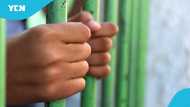 JHS student sentenced to 6 months in prison for stealing a goat: “I needed money to go to school