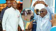 Dr Bawumia's supporters wait in the heavy rain to celebrate him on his 62nd birthday, video stirs reactions