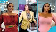NPP bigwigs reportedly storm Adwoa Safo's house, allegedly prevent her from attending interview
