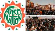 Afro Nation set for detty December, full artiste lineup and DJs revealed