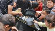 Gaza faces 'critical risk of famine': UN report
