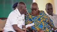 Akufo-Addo freezes salary increments of all appointees including Bawumia and himself