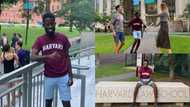 Old student of Augusco gains admission to Harvard Law School; Ghanaians hail him