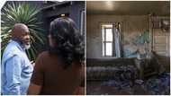 Pest problems and other factors that will tell people to stay clear of an apartment they want to rent
