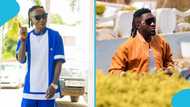Patapaa spells ‘Catarrh’ for Amerado to give him money in a hilarious video