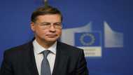EU seeks quick critical minerals deal with US: official