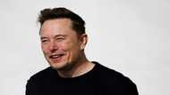 US court dismisses Musk lawsuit against anti-hate watchdog