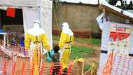 Ebola virus recorded in Guinea with 3 deaths - Ghana Health Service warns