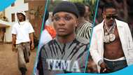 Fear grips Ghanaians as content creator's remark on Stonebwoy sparks jail talk, details emerge