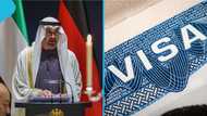 UAE lists 46 countries whose citizens can visit without a visa