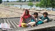 Pregnant women caught in Pakistan floods desperate for aid