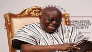 NDC has begun celebrating 2024, but NPP will win again – Akufo-Addo