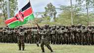 Kenya sending troops to DRCongo to fight rebel advance