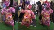 Grandma sets Edo wedding on fire as she dances with great energy in cute video, MC ran away in surprise