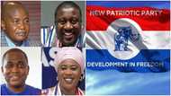 NPP Elections: Full list of winners pops up as party swears in new national executives