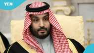 Saudi Arabia arrests thousands and deports over 14,000 in nationwide immigration crackdown