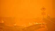 Australia's 'Black Summer' fires affected ozone layer: study