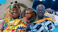 Techiman Traditional Council speaks after attack on Asantehene's convoy, drops more details