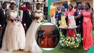 Lovely photos emerge as twin grooms wed twin sisters on the same day