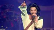 Prince, Andy Warhol feature in Supreme Court copyright case