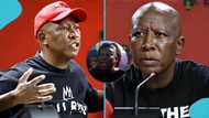 “Is he a prophet?”: Julius Malema praised after anti-immigration warning appears to come true