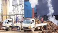 2 KNUST students,1 other confirmed dead in Juaben Oil Mills explosion