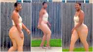 Thick lady causes stir as she shakes her behind in slaying video, peeps react: “God dey create”