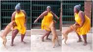 Curvy lady dances with her dog, it jumps and pulls her dress in adorable video