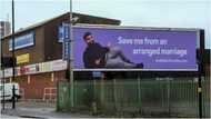 Desperate 29-year-old man searching for wife advertises self on giant billboards