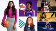 3 Sisters Who Play for Different Teams in America Decide to Represent Nigeria at Olympics