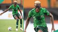 Journalist at AFCON confirms Osimhen has been cleared by medical team ahead of semi-final match