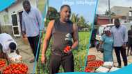 John Dumelo buys tomatoes for caterers in Ayawaso West Wuogun, shares plans to build processing factory