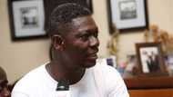 7 Celebrities offered appointment under Prez. Akufo-Addo