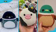 The top 15 rare Squishmallows: A list of the most popular plush (with pictures)