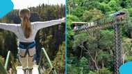 More details emerge after student dies in horror bungee jumping accident in Brazil