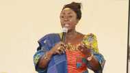 Open land borders to reduce economic stress– Dzifa Gomashie appeals to government