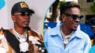 Shatta Wale loses his cool as fan attemts to steal his diamond chain at concert, video trends