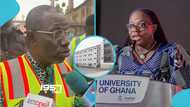 “Trust me”: Rent Control boss challenges UG authorities in fiery video