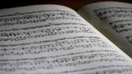 Music: Definition, importance, types and history