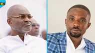 "You are a coward and danger to Ghana's democracy": Miracles Aboagye jabs Kennedy Agyapong