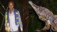 Emmanuel Amoah: Brave Ghanaian man wins $50k prize for protecting endangered crocodile