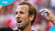 Harry Kane could return to Tottenham Hotpurs in sensational move