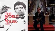 Is Scarface based on a true story? 10 things you probably did not know about the film