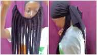 Very creative: Social media impressed as lady shares video of braids hairstyle hack