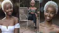 Pure African beauty: 23-year-old lady wows the internet with stunning photos