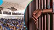 University of Ghana student jailed for impersonating twin brother during 2025 WASSCE