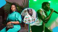 "Call your dogs to order": Ayisha Modi tells Stonebwoy after threats from his former bodyguard