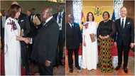 Thank you for linking the diaspora to Africa: Kamala Harris celebrates Akufo-Addo