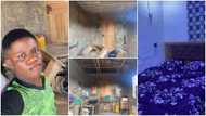 Young man renovates his room, paints and tiles it, shares transformation video with cool wallpaper