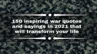 150 inspiring war quotes and sayings in 2021 that will transform your life